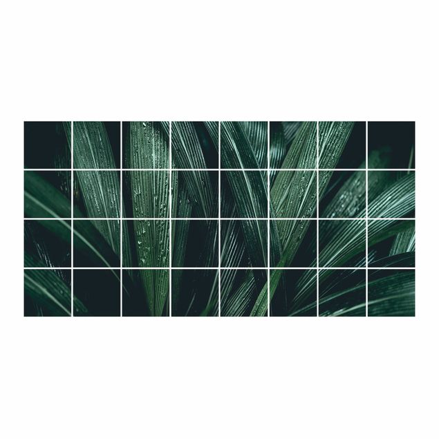 Adhesifs carrelage Feuilles de palmier vertes
