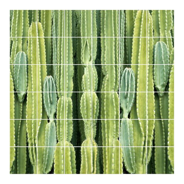 Films adhésifs pour carrelage verts Mur de cactus