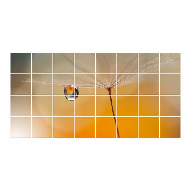 Sticker pour carrelage - Dandelion In Orange