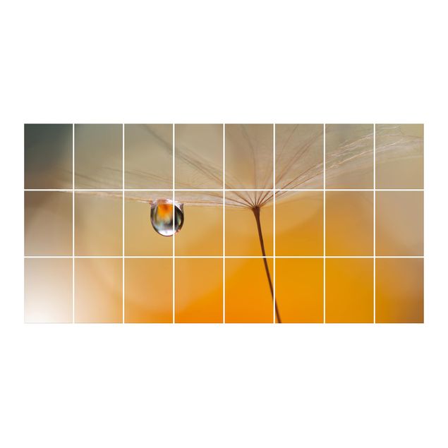 Sticker pour carrelage - Dandelion In Orange