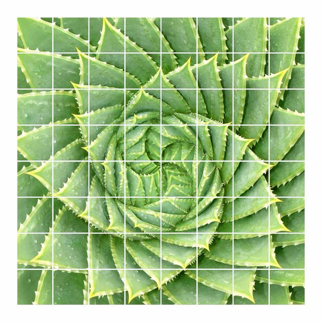 Sticker pour carrelage - Spiral Aloe