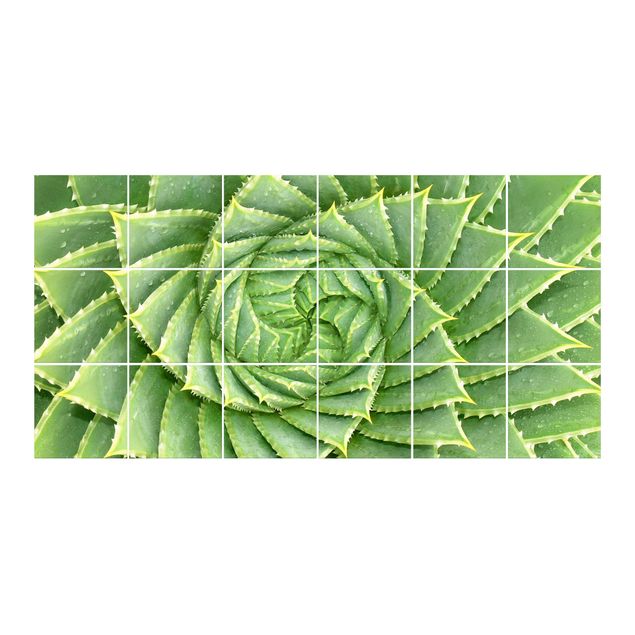 Sticker pour carrelage - Spiral Aloe