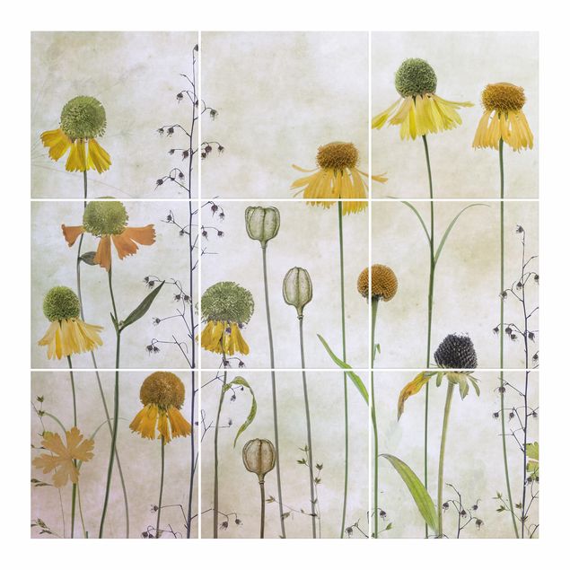 Sticker pour carrelage - Delicate Helenium Flowers