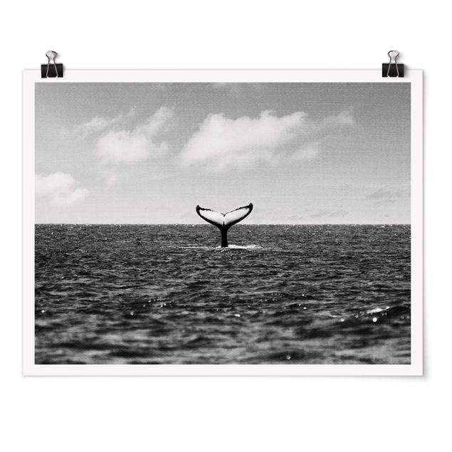 Posters en noir et blanc Queue de poisson au milieu de l'océan