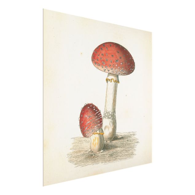 Tableau décoration French mushrooms II
