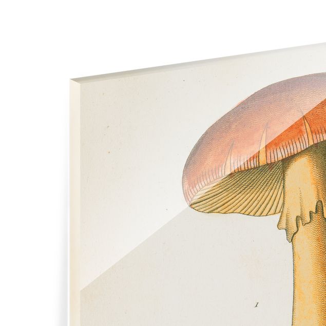 Tableau en verre - French Mushrooms
