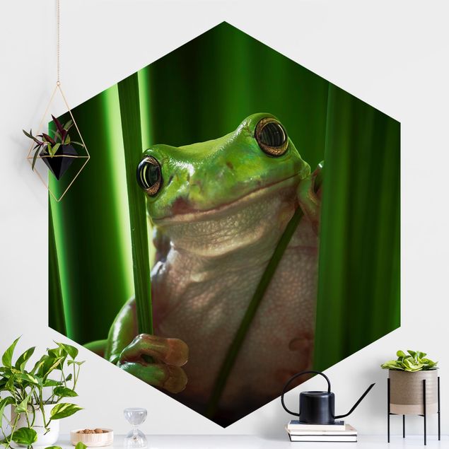 Déco mur cuisine Merry Frog