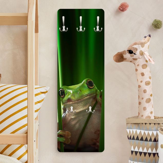 Porte manteau mural animaux Merry Frog