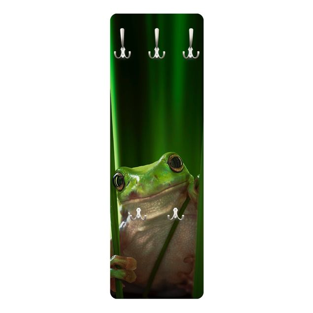 Porte-manteau - Merry Frog