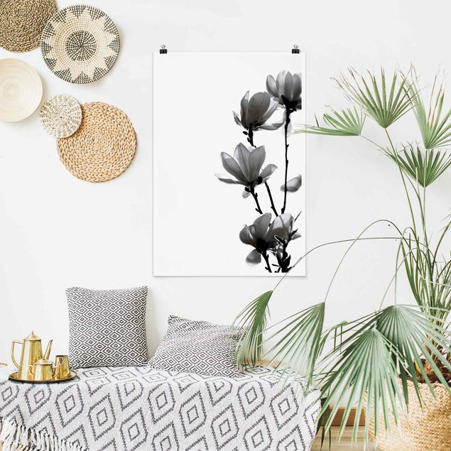 Poster fleurs Herald du Printemps Magnolia Noir Et Blanc