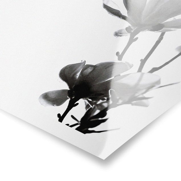 Tableaux Herald du Printemps Magnolia Noir Et Blanc