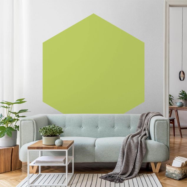 Papier peint panoramique hexagonal Vert printemps