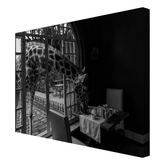 Tableaux sur toile en noir et blanc Petit-déjeuner avec la girafe