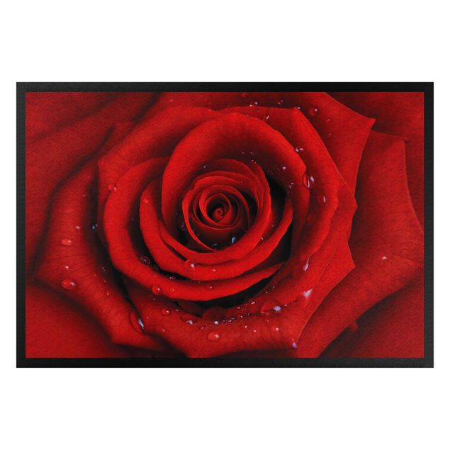 tapis salon moderne Rose rouge avec gouttes d'eau