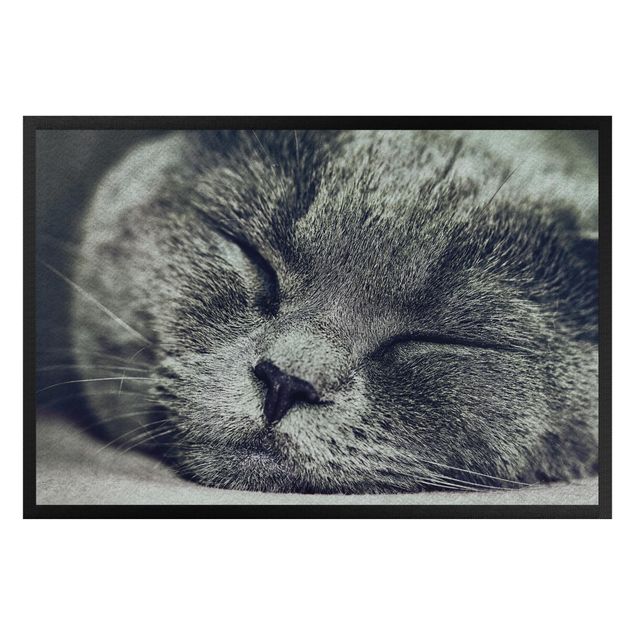 Paillasson - Sleeping Cat