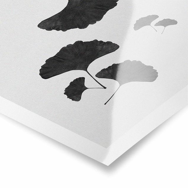 Tableau décoration Composition de Ginkgo en noir et blanc