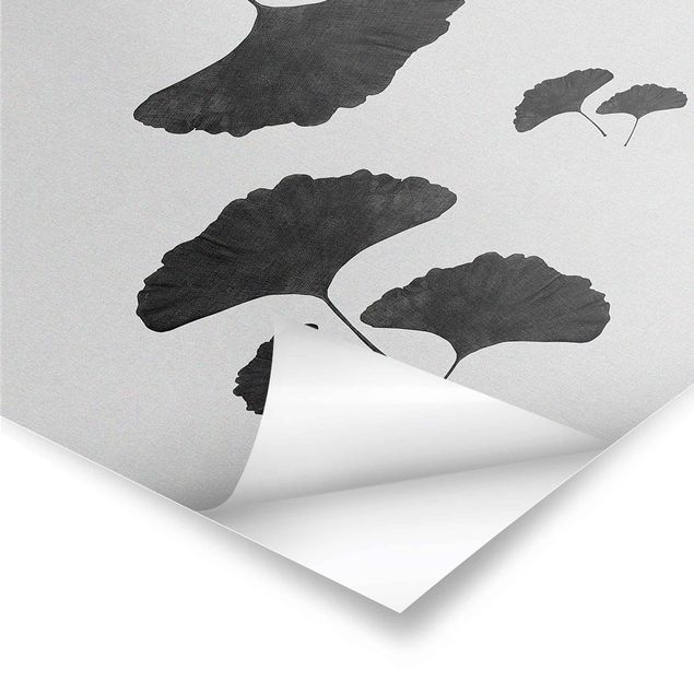 Posters muraux Composition de Ginkgo en noir et blanc