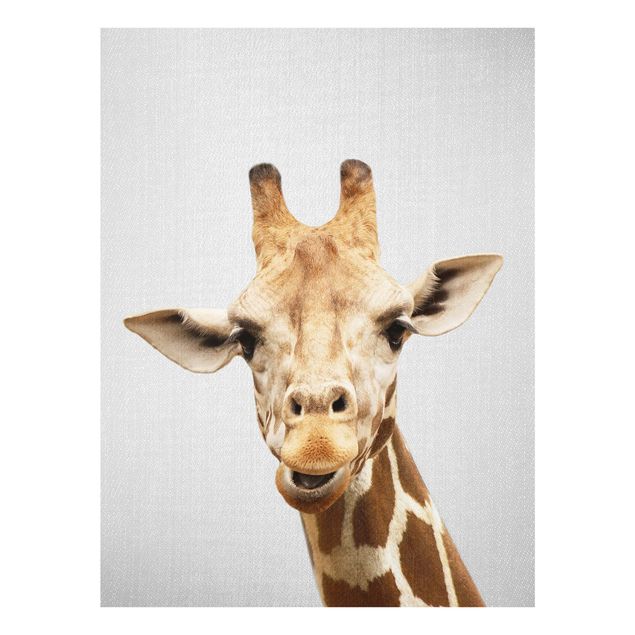 Tableau animaux Girafe Gundel