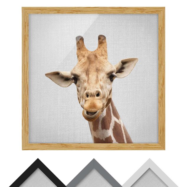 Tableaux noir et blanc Girafe Gundel