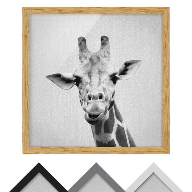 Tableaux noir et blanc Girafe Gundel Noir et Blanc