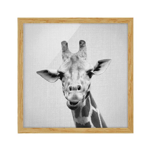 Tableaux encadrés animaux Girafe Gundel Noir et Blanc