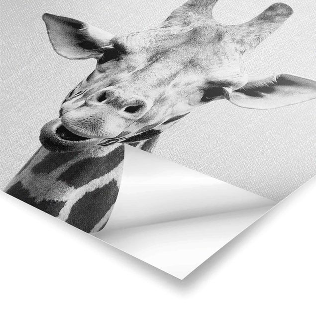 Tableaux muraux Girafe Gundel Noir et Blanc