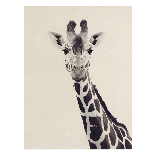 Cadre animaux Portrait de girafe en noir et blanc