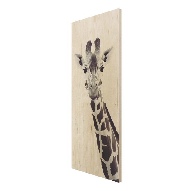 Impression sur bois Portrait de girafe en noir et blanc