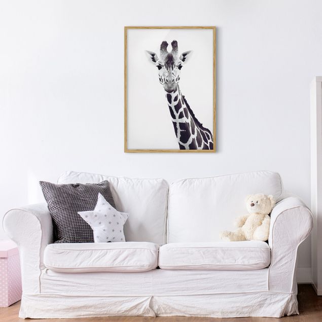 Tableaux encadrés noir et blanc Portrait de girafe en noir et blanc