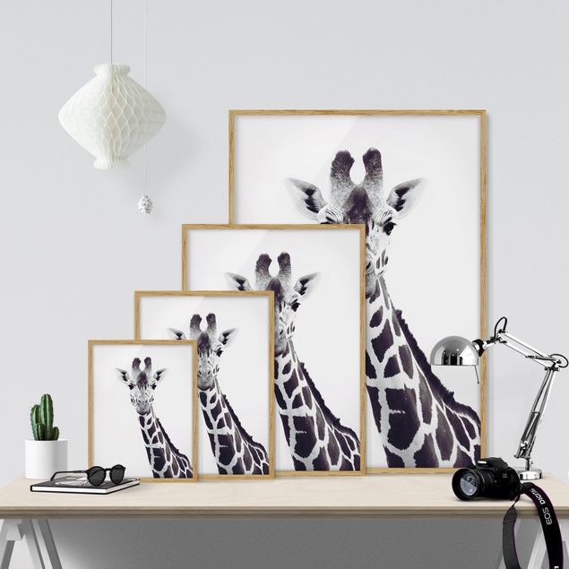 Tableau moderne Portrait de girafe en noir et blanc