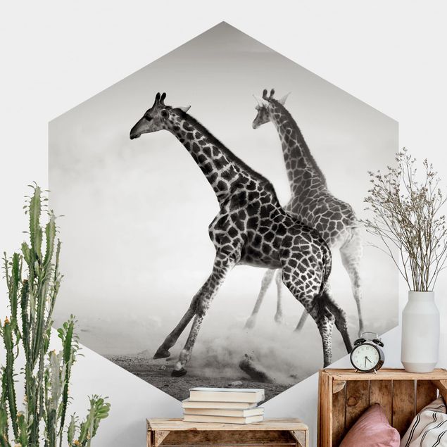 Déco murale cuisine Girafes à la chasse