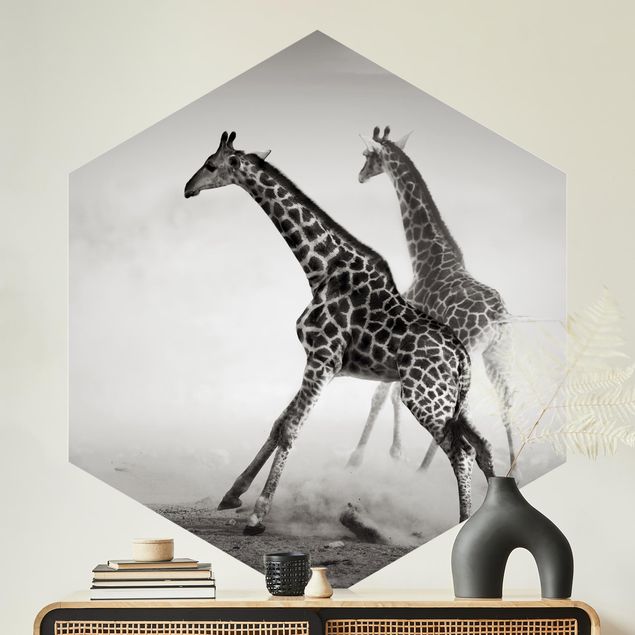 Papiers peints afrique Girafes à la chasse