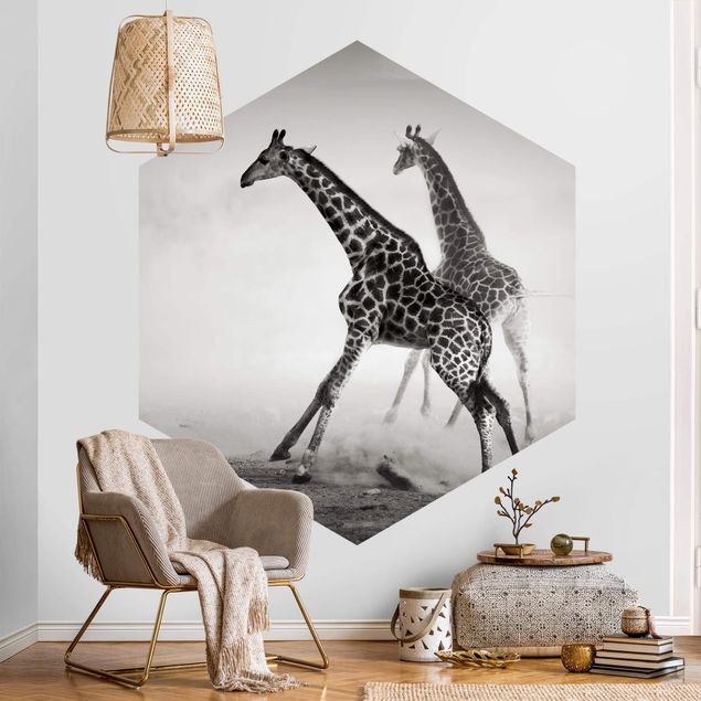 Papier peint désert Girafes à la chasse