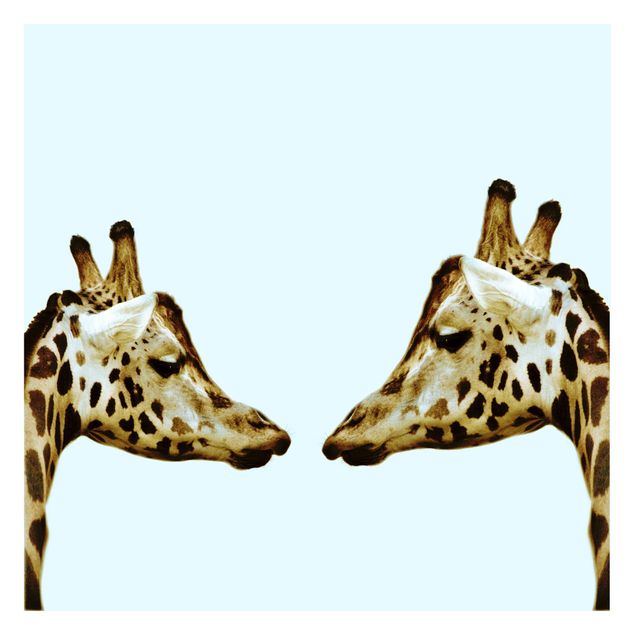 Papier peint panoramique Girafes en amour