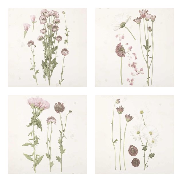 tableaux floraux Lot I - Herbier en rose