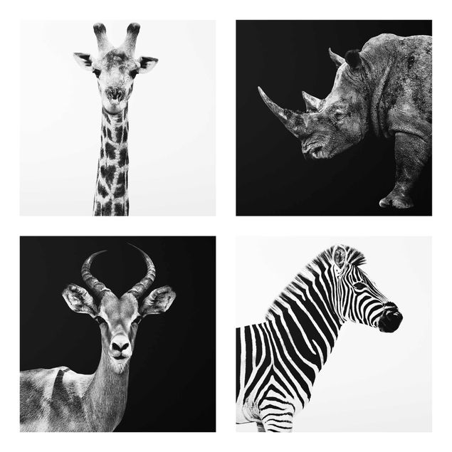 Tableaux noir et blanc Quatuor Safari