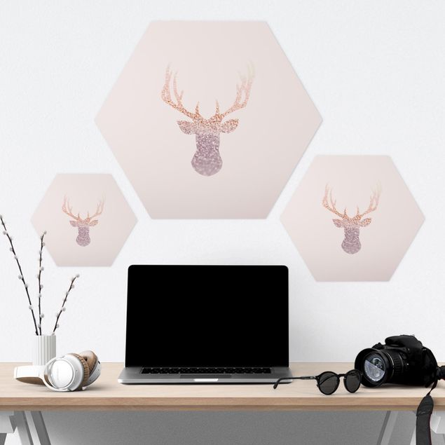 Hexagone en forex - Shimmering Deer