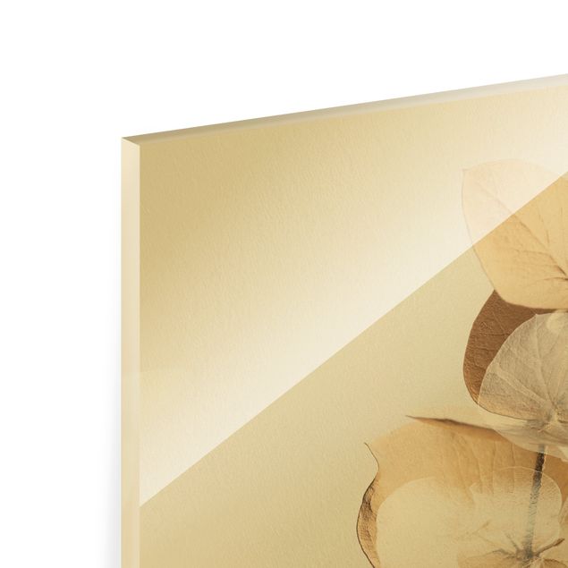 Tableaux en verre magnétique Eucalyptus doré avec blanc II