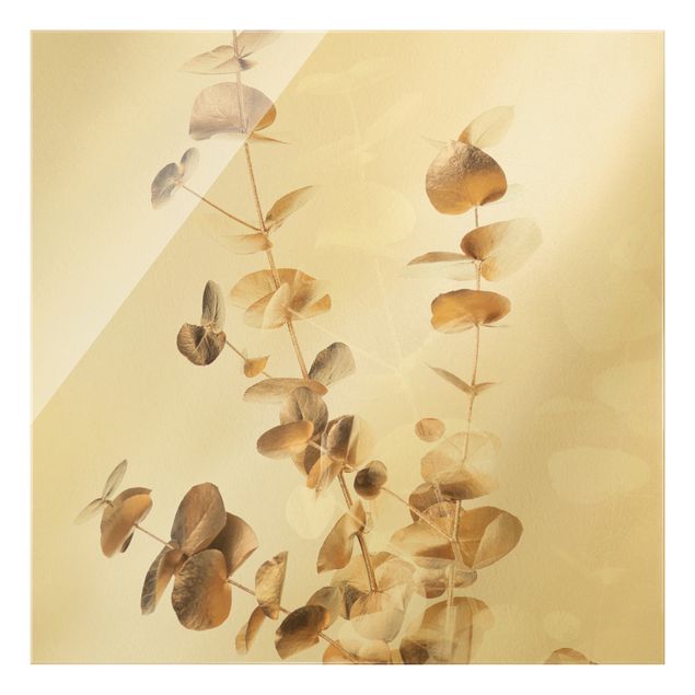 Tableaux muraux Eucalyptus doré avec blanc