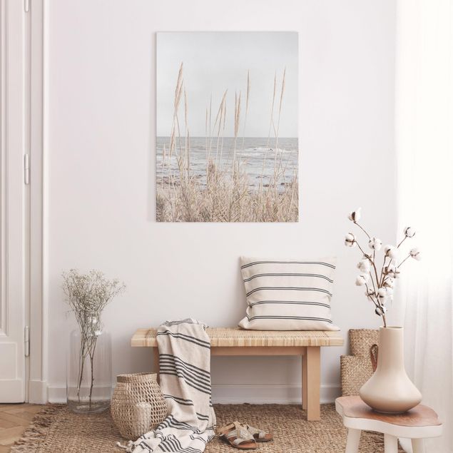 Tableaux sur toile avec dunes Herbes au bord de la mer