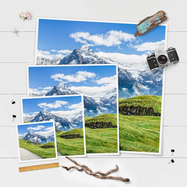 Tableau vert Panorama de Grindelwald