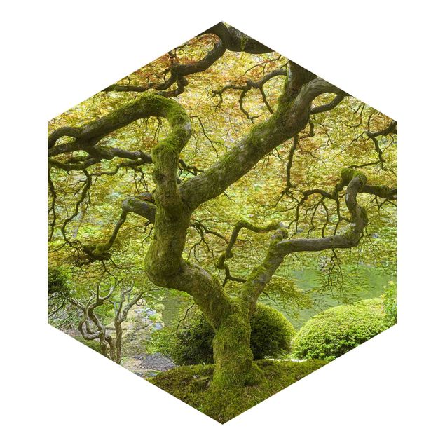 Tableaux de Rainer Mirau Jardin japonais vert