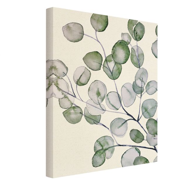 Tableaux muraux Branche d'eucalyptus vert aquarelle