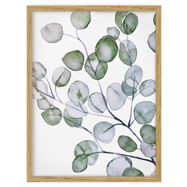 tableaux floraux Branche d'eucalyptus vert aquarelle