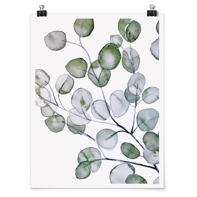 Poster fleurs Branche d'eucalyptus vert aquarelle
