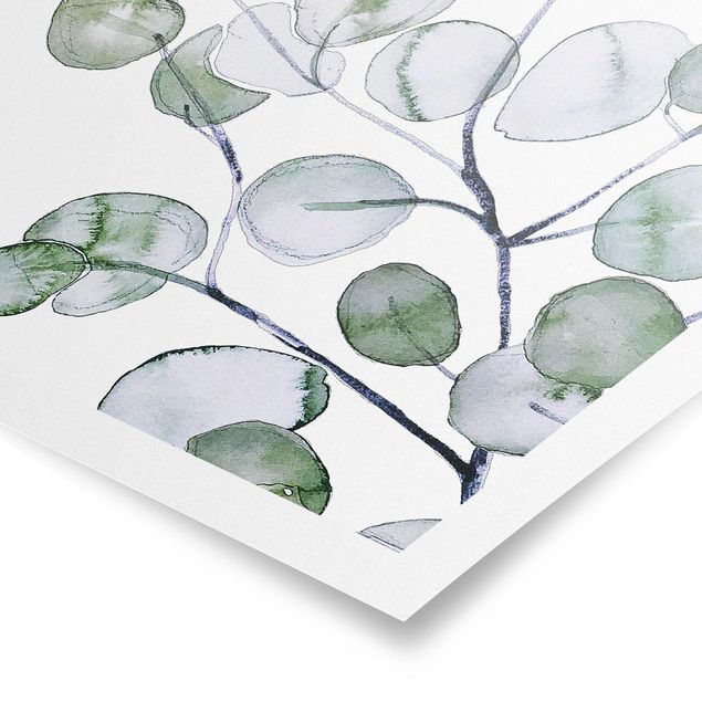 Tableaux verts Branche d'eucalyptus vert aquarelle