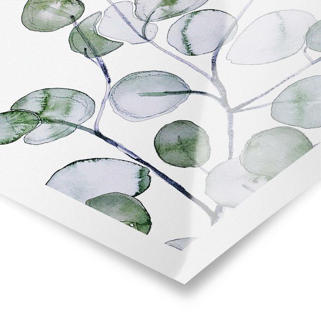 Tableaux Branche d'eucalyptus vert aquarelle