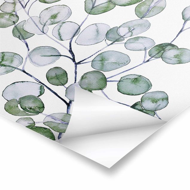 Posters Branche d'eucalyptus vert aquarelle