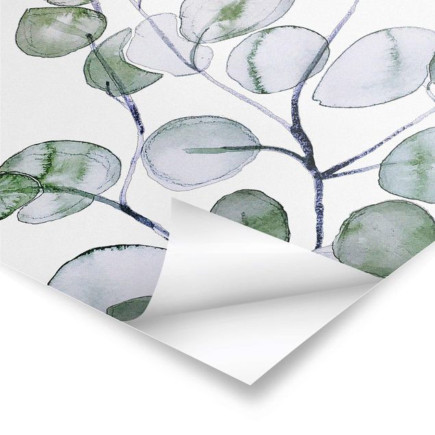Posters Branche d'eucalyptus vert aquarelle