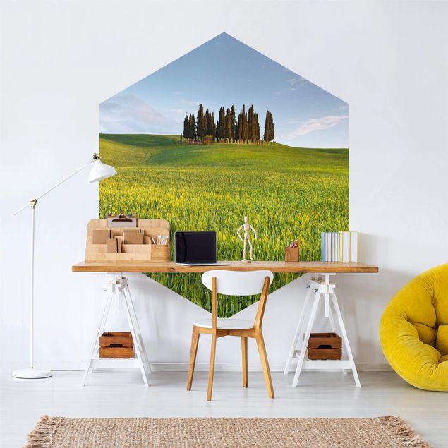 Papier peint paysage Champ vert en Toscane